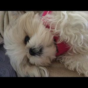 Meet your Posher, Rogerio